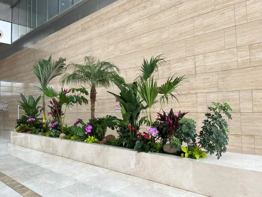 揭秘鄞州植物租摆价格，开启别样绿植租赁之旅！